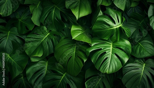 tropical leaves background top view  closeup nature view of green leaves background. Generative AI