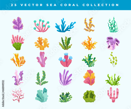 vector sea coral collection