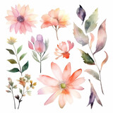 Watercolor Illustration of Flowers and Leaves Set - Botanical Art