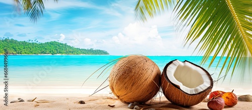 Coconut fruits with a tropical backdrop of palm trees beach and Caribbean sea