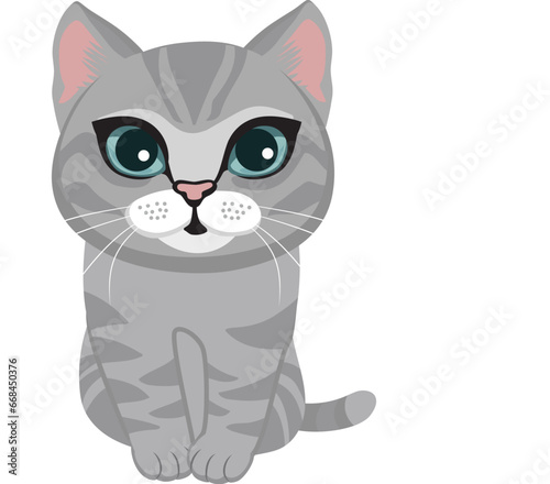 Cute gray and white kitten sitting and looking forward isolated on white background. Cute baby domestic pet purring