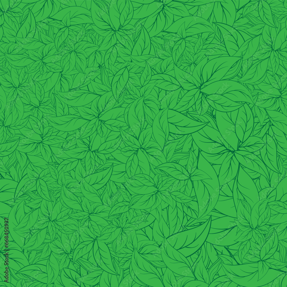 pattern with leaves of basil. Vector illustration in green colors