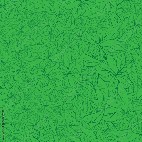pattern with leaves of basil. Vector illustration in green colors