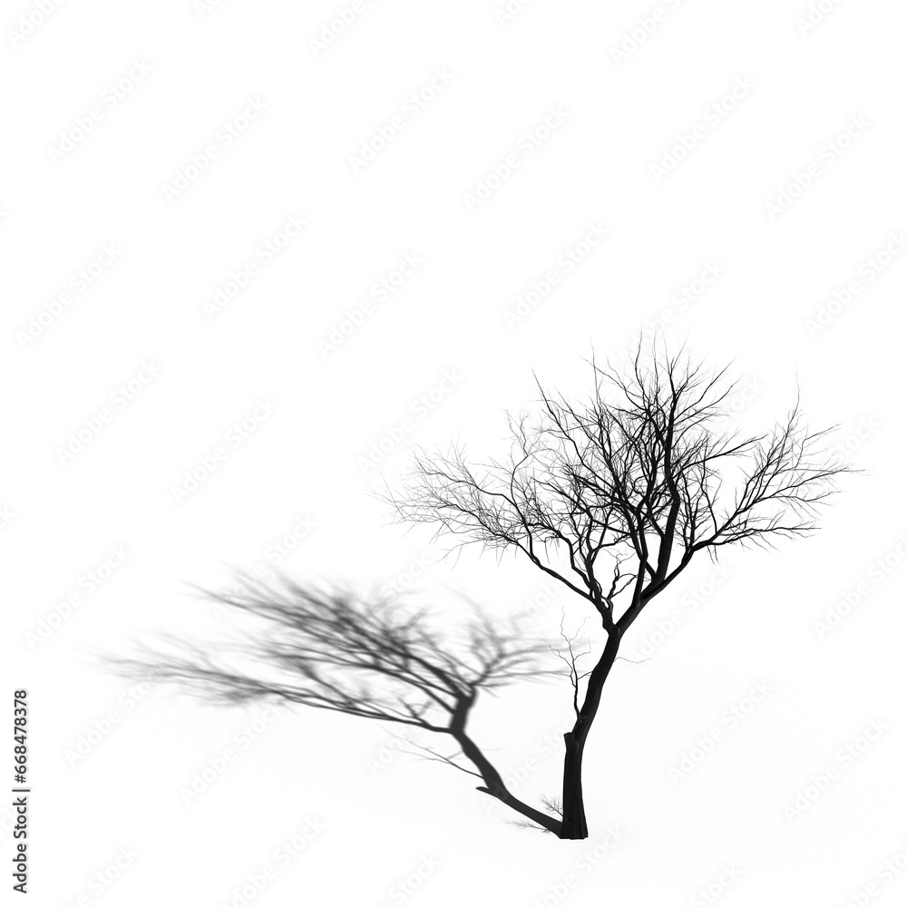 Fototapeta premium big tree, isolated on white background, 3D illustration, cg render