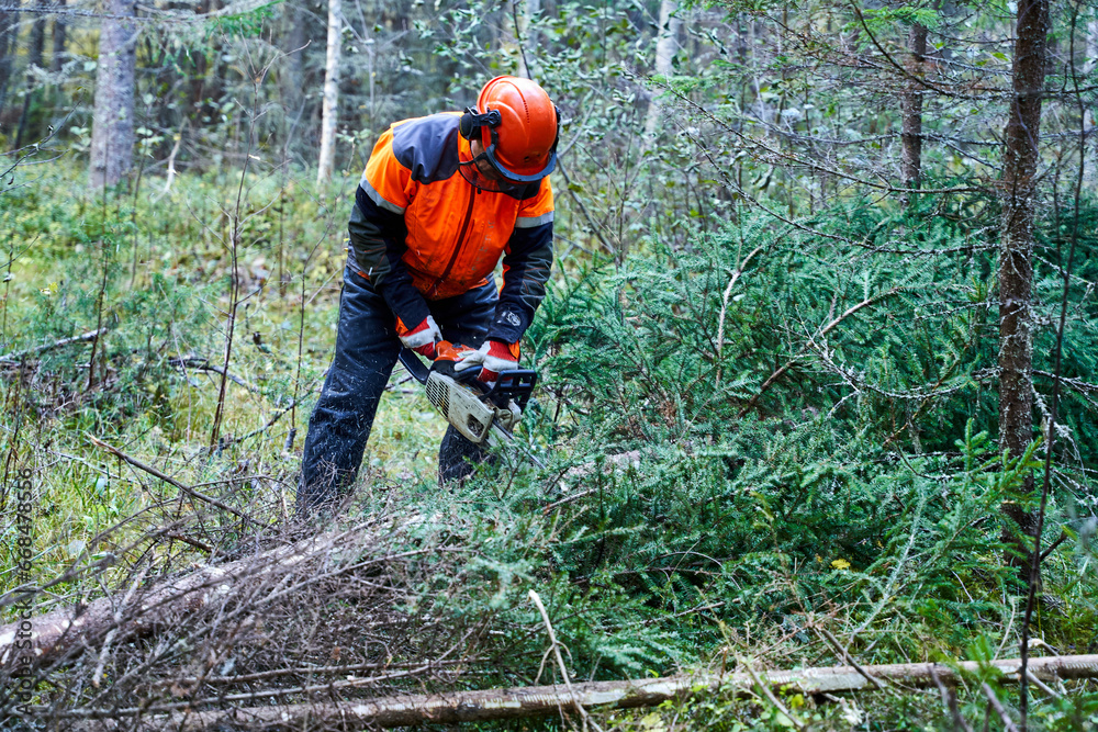 Obraz premium Lumberjack working in forest in autumn