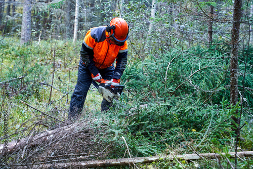 Lumberjack working in forest in autumn