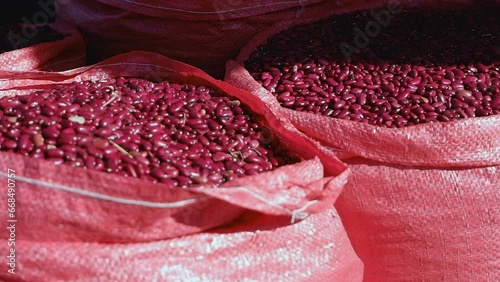Wallpaper Mural Dried red kidney beans in woven red sacks in sunshine at street market Torontodigital.ca