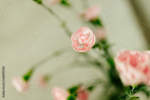 Wallpaper Mural Delicate pink roses and diamond engagement ring close up. Pink carnations. Beautiful flowers, a gift for February 14, Valentine's Day, Mother's Day. Place for text. Mock up. Torontodigital.ca