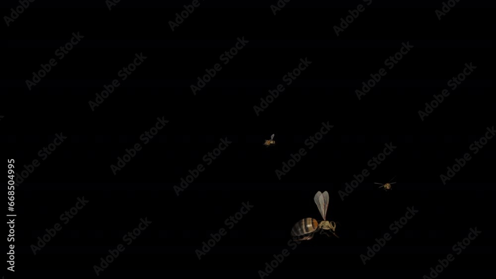 Bee Animation. Css Honey Bee Swarm - Flying In and Out - Realistic 3D animation isolated ...