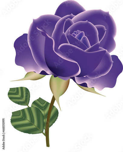 Violetcolored rose vector design photo