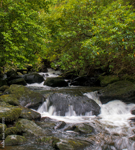 The river flows through a thick layer of autumn foliage, with a few orange and yellow leaves contrasting against the dark rocks to make a contrasted scene. Owengarriff River, Ring of Kerry, Ireland
