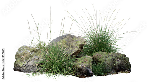Fototapeta Naklejka Na Ścianę i Meble -  3d rendered a group of rocks with grass growing out of them on a white background with clipping path.