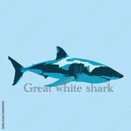 great white shark vector illustration with lettering on blue background
