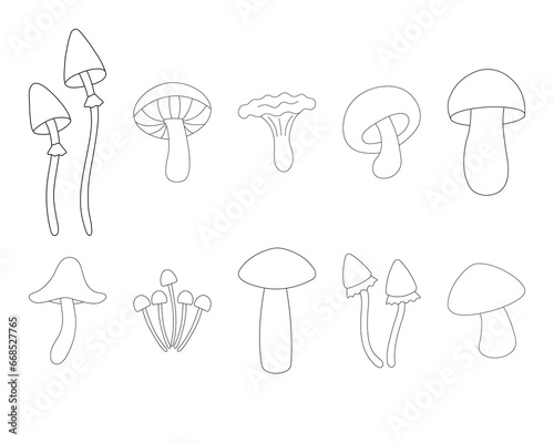 Mushrooms icons set. Vector illustration. Black outline on white background.