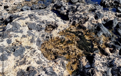 Volcanic rock on the Spanish island of Fuerteventura