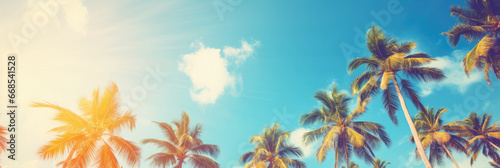 Summer holidays travel concept. Palm trees against blue sky © B-design