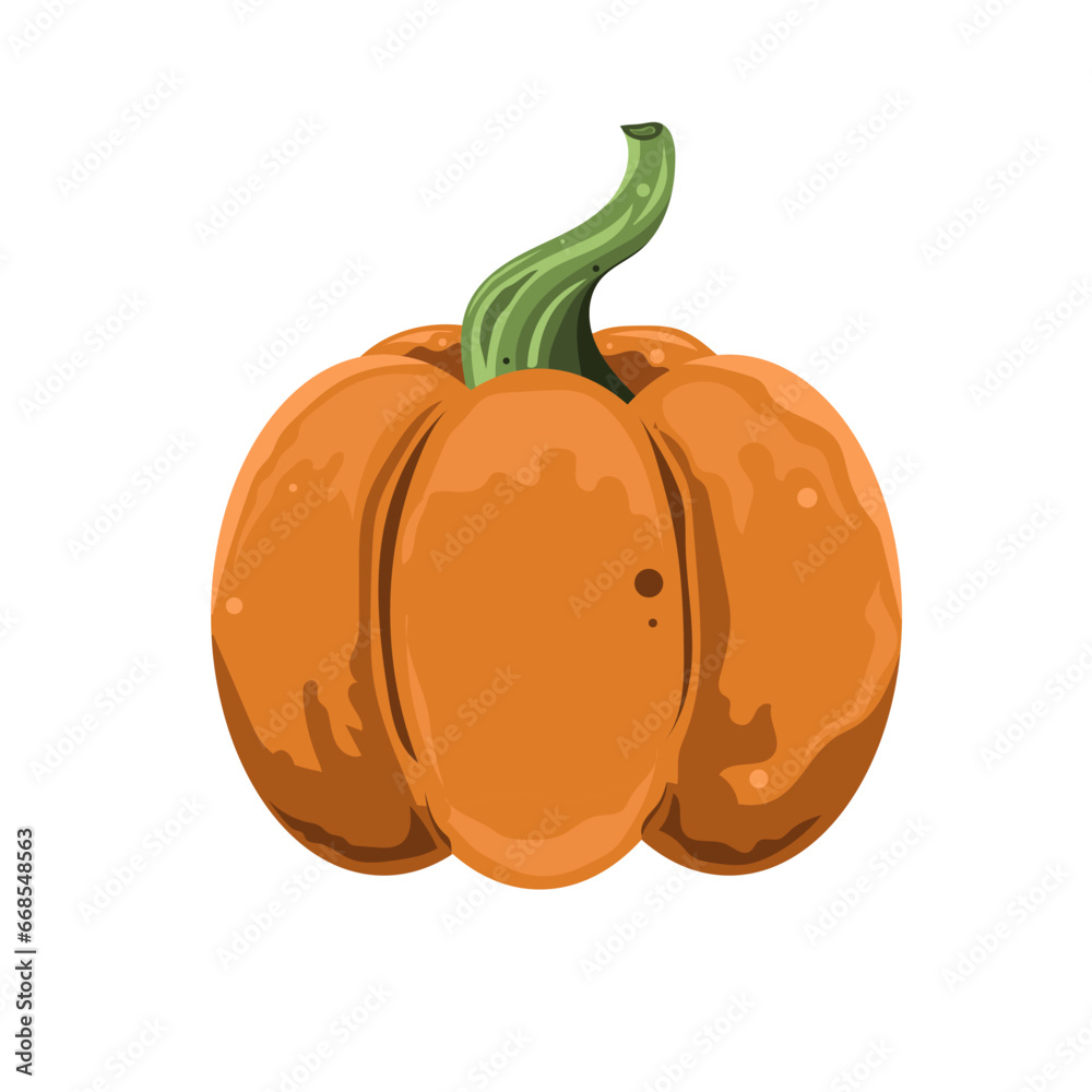 Obraz premium Pumpkin vector. pumpkin icon. Halloween icon