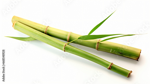 Isolated sugar cane on a white backdrop