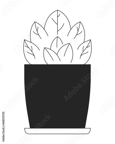 Small shrub potted black and white 2D line cartoon object. Evergreen plant indoor houseplant miniature bush isolated vector outline item. Dwarf shrub in pot monochromatic flat spot illustration
