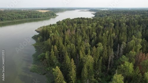 Aerial view of a green pine forest and a river flowing through it. Istra reservoir