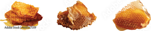Honeycomb illustration on white background
