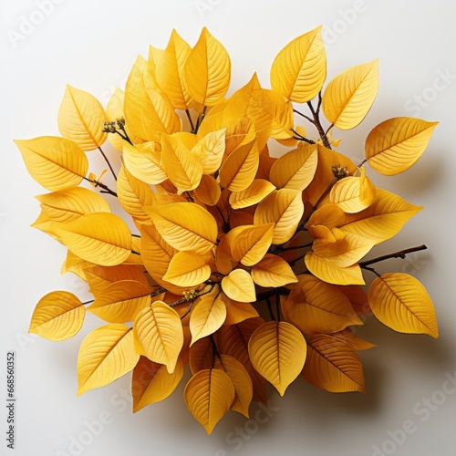 Bunch Yellow Leaves ,Hd, On White Background