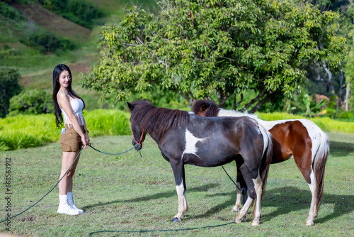 Asian woman smiles happily and lead horse walking on the field. Horse walking on grassy field with female after rain.Happy woman standing next to horse eating the grass.Human and animal relationship. 