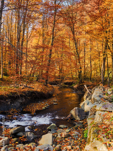 trees in red and orange foliage on the river bank. water stream with rocky shore in the valley. sunny forenoon