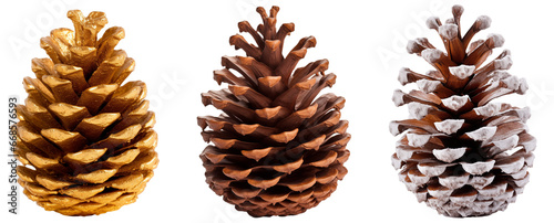 Pinecone bundle (normal, golden, snow covered), christmas decoration collection, isolated on white background as transparent PNG
