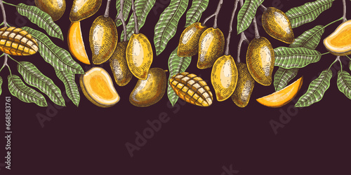 Ripe mango background. Tropical fruit hand drawn vector illustration. Exotic plant with fruit, leaves, branches sketches in color. Summer food banner,  juice packaging, menu design in color