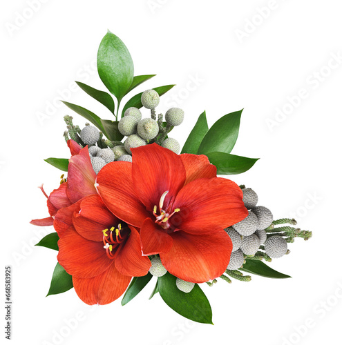 Red amaryllis flowers  in a...