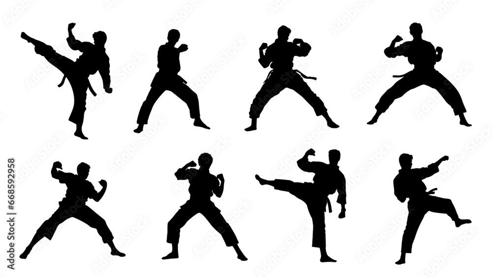 karate fight Martial arts