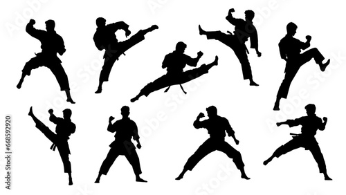 karate fight Martial arts