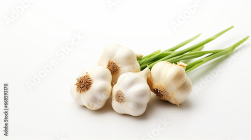 Minimalistic composition with fresh garlic