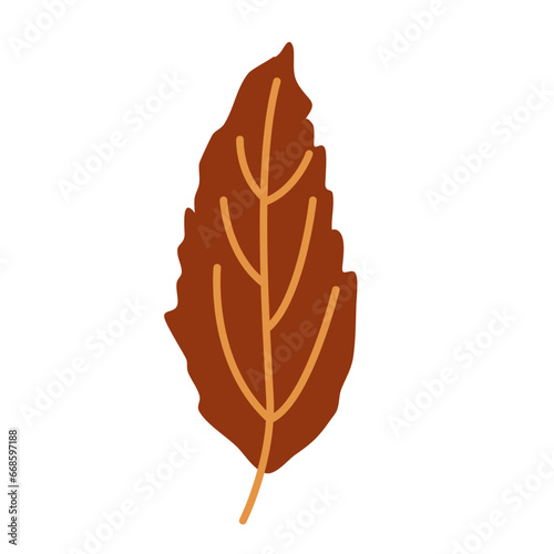 Autumn leaves vector, fall leaves Autumn, Autumn leaves, Autumn falling leaves, Beautiful falling autumn © Nisa