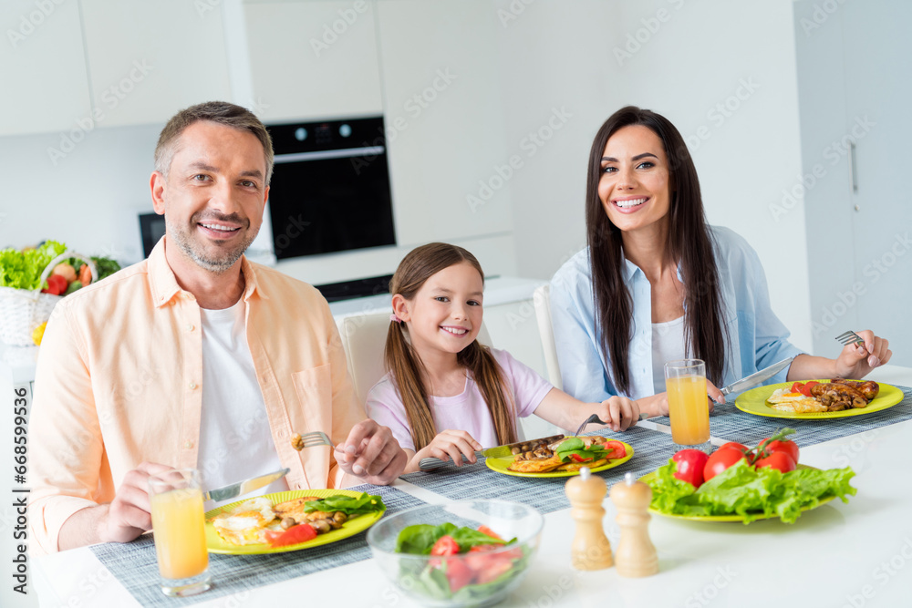 Photo of smiling positive wife husband little girl enjoying meals together indoors apartment kitchen