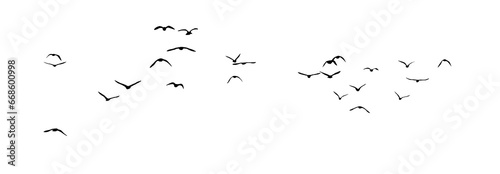 png flock of birds silhouette isolated on transparent clear background	 photo