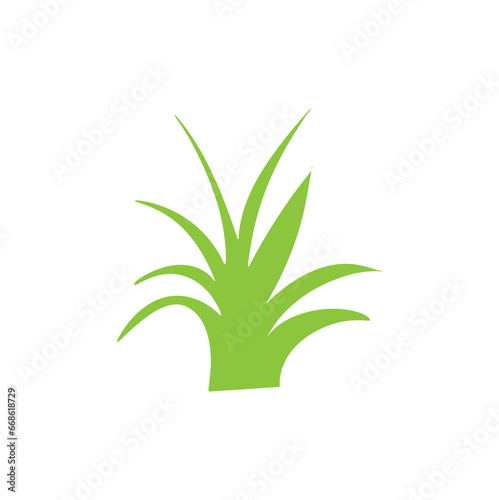 Green grass vector