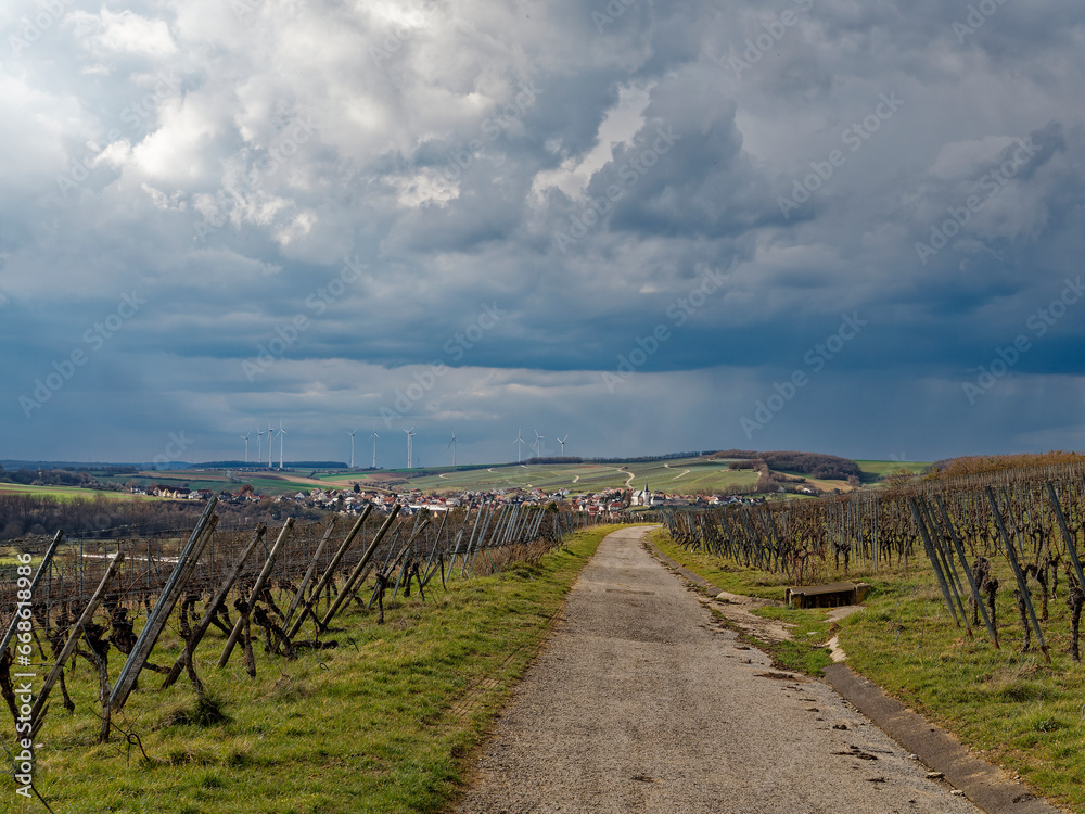 Landschaft und Weinberge bei Stammheim am Main, Landkreis Schweinfurt, Unterfranken, Franken,  Bayern, Deutschland