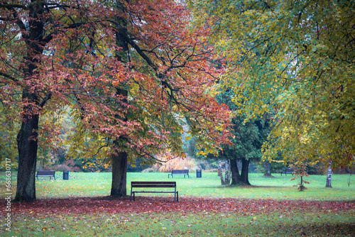 Park in autumn © Jukov