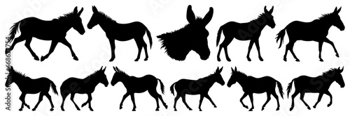 Donkey silhouettes set, large pack of vector silhouette design, isolated white background