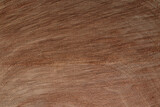 texture bois : gros plan sur une coupe de tronc d'arbre