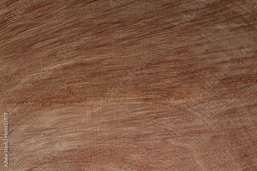 texture bois : gros plan sur une coupe de tronc d'arbre photo