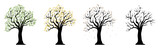 Trees. Tree of 4 seasons. Trees vector logos. Tree silhouette
