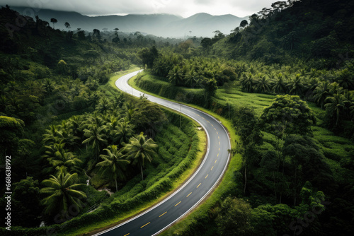 Asphalt road going through the rainforest