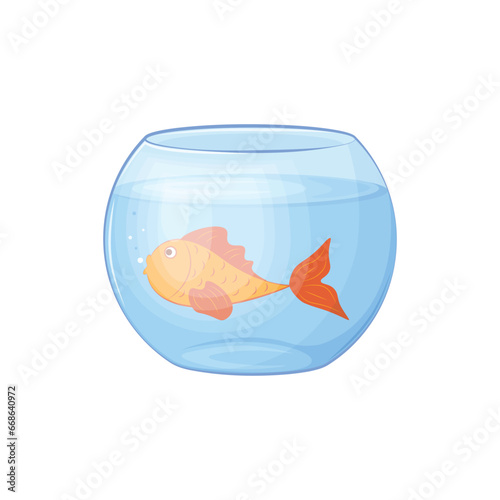 A fish in an aquarium. A goldfish swims in a round aquarium. Fish in the water. Vector illustration isolated on a white background.