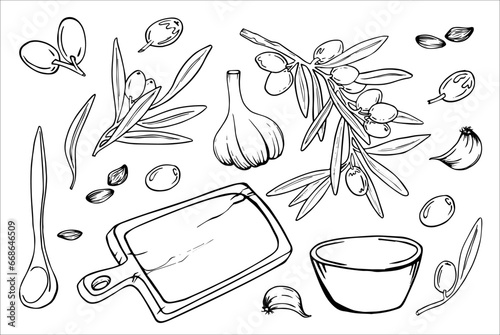 Olive oil set, graphic, vector, hand drawn doodle. Elements for food, sunflower, olives, branch, bag, lemon, kitchen board, exta virgin bottle. Oil for cosmetics and serums. photo