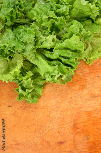 background of lettuce leaves close up