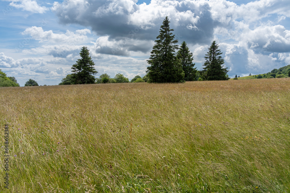 Obraz premium Rhönlandschaft am Heidelstein in der Langen Rhön, Biosphärenreservat Rhön, Bayern, Hessen, Deutschland