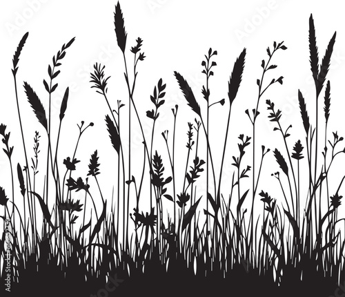 Meadow Grass Silhouettes, Black Grass Silhouettes Vector